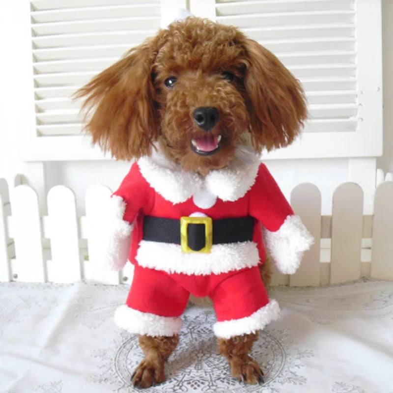 Funny Santa Claus Pet Costume