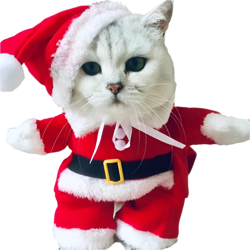 Funny Santa Claus Pet Costume