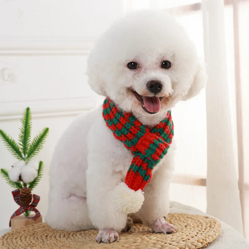 Christmas Pet Scarf