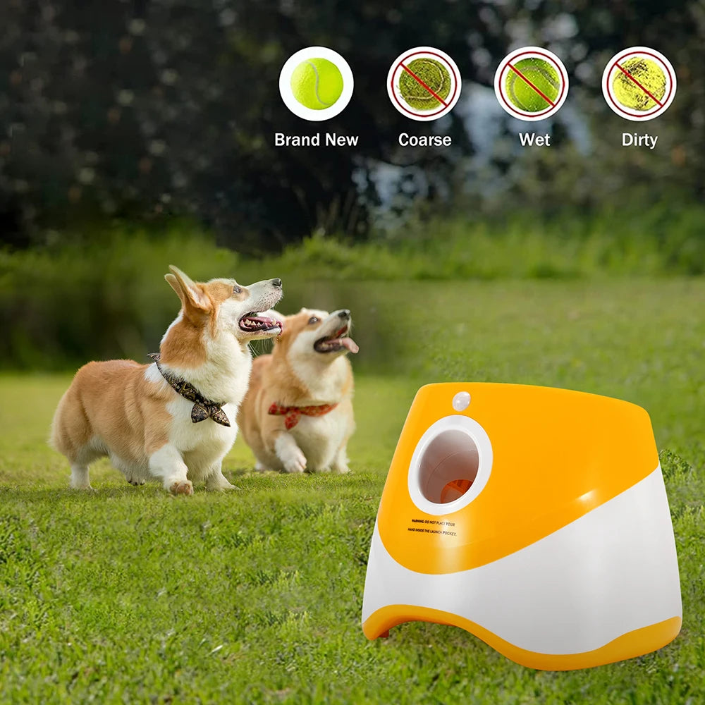 Interactive Ball Launcher for Dogs