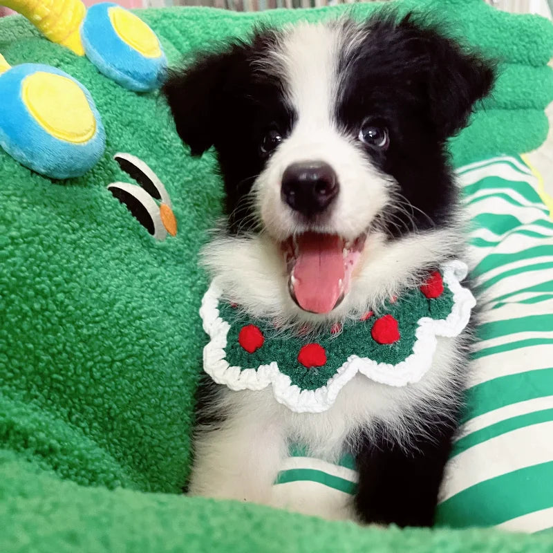 Festive Knit Pet Collar