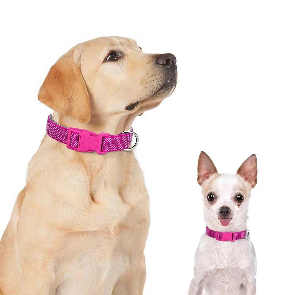 Durable Reflective Collar