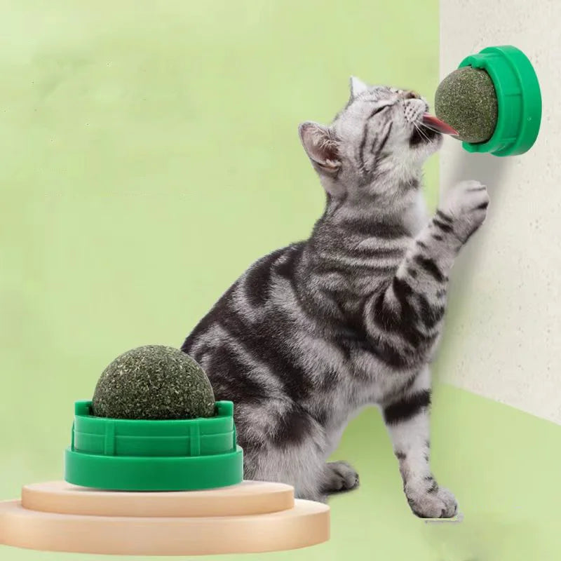 Catnip Cat Wall Stick-on Ball Toy