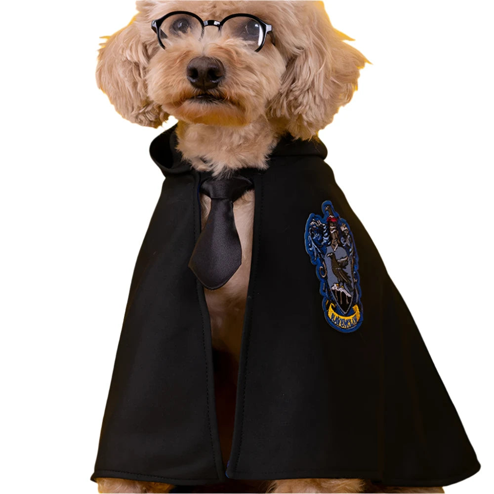 Pet Magic Academy Cape