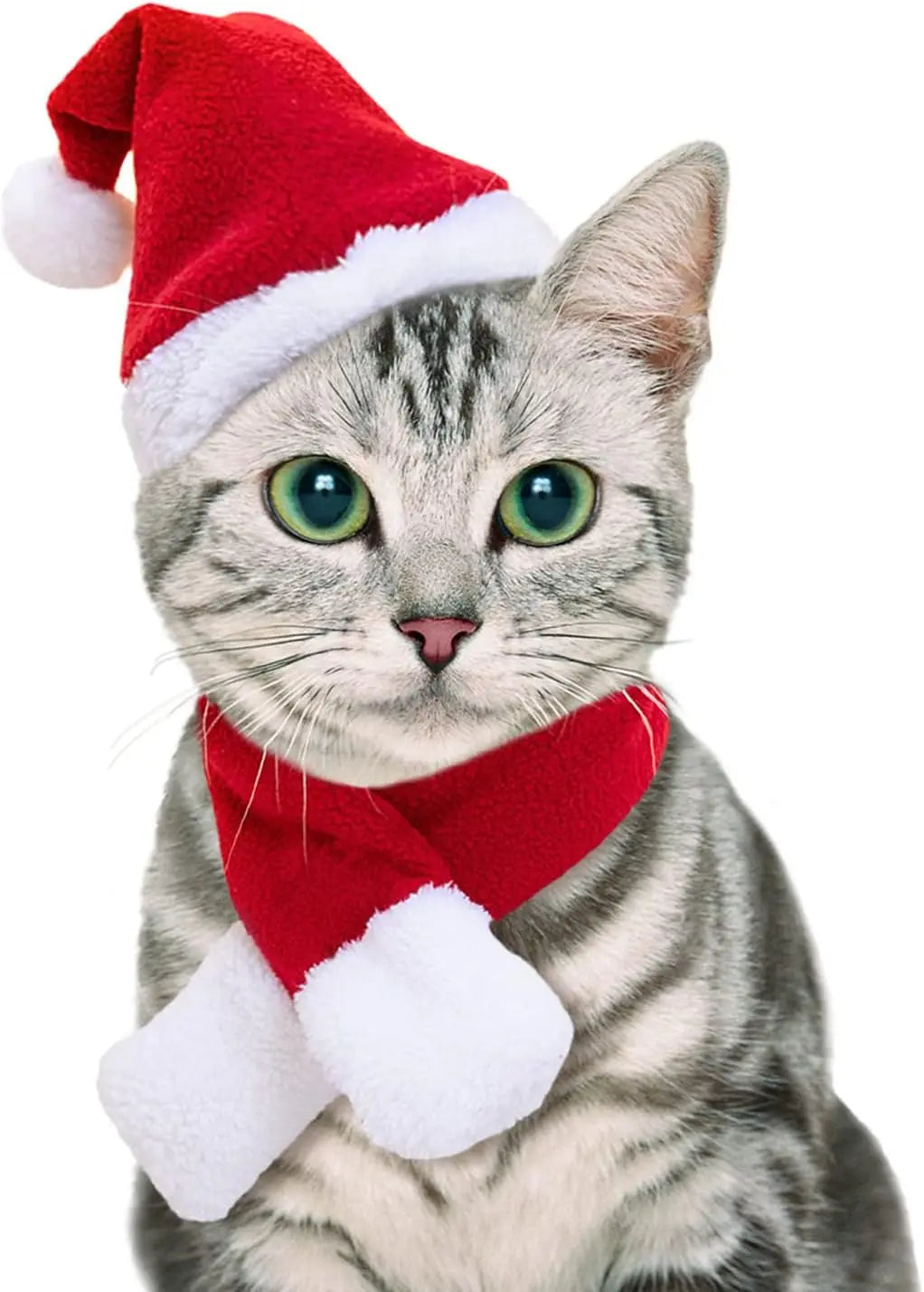 Christmas Cat Santa Set