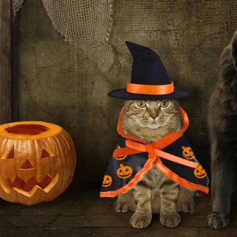 Cute Halloween Pet