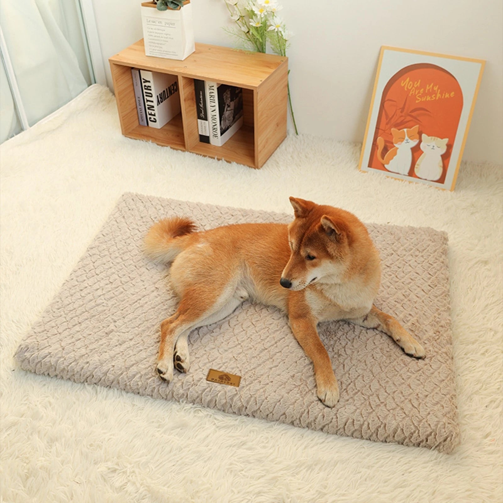 Plush Dog Mat Bed