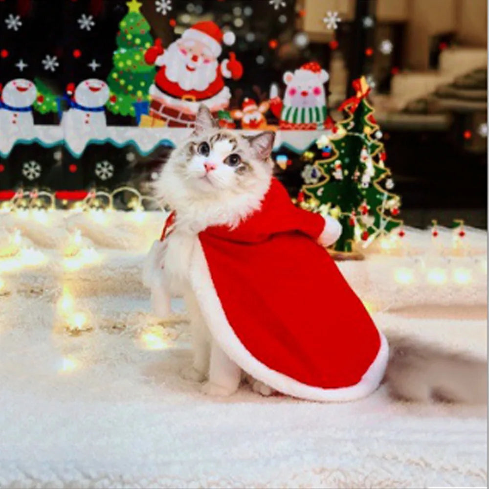 Festive Pet Cape