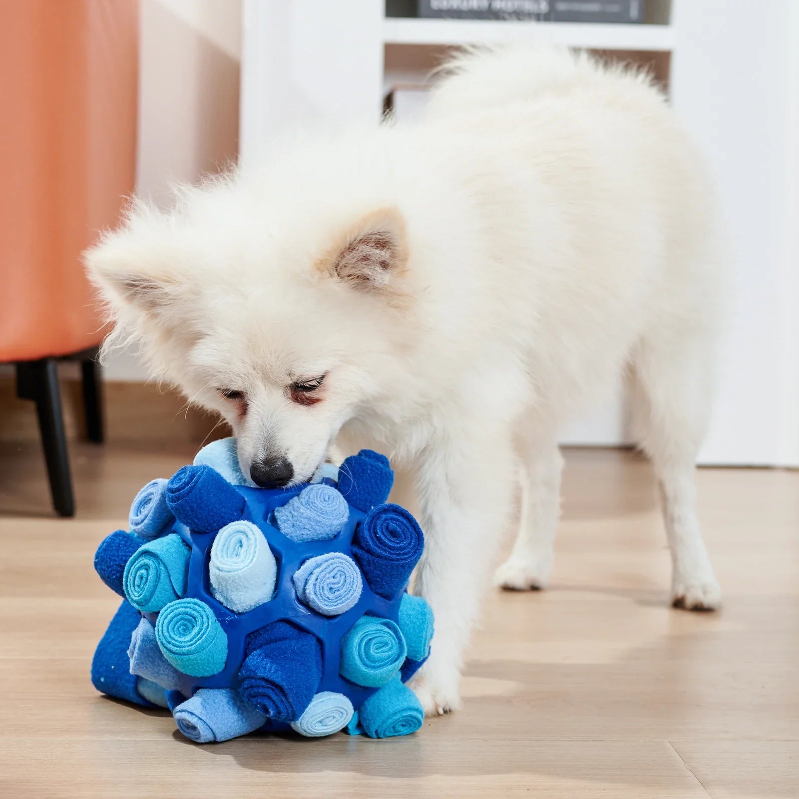 Sniffing Puzzle Ball