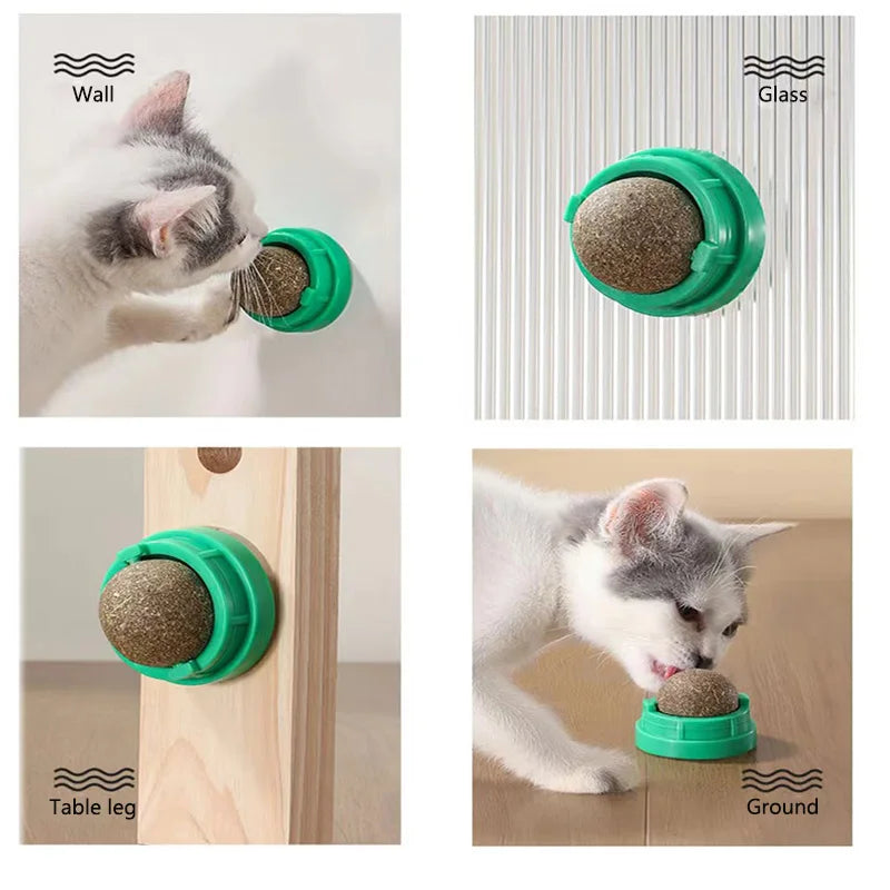 Catnip Cat Wall Stick-on Ball Toy