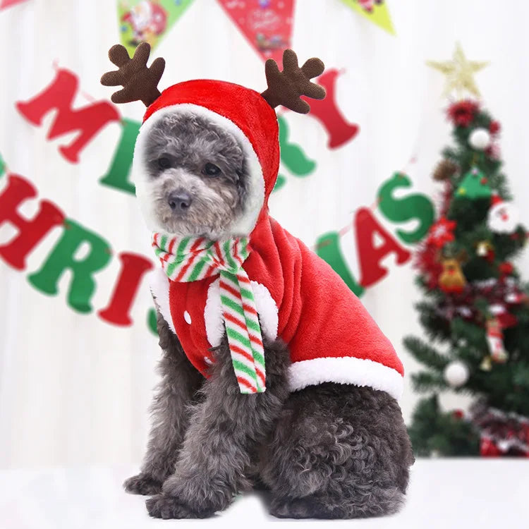 Dog Clothes Santa Costume for Puppy